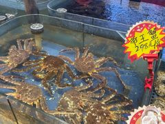 -山东八大碗山东老字号