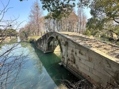 -贡湖湾湿地公园