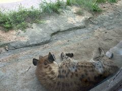 -杭州野生动物世界