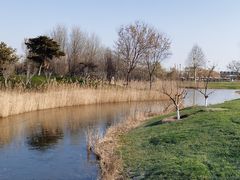 -安德鲁户外烧烤帐篷营地(马泉营店)