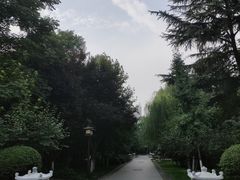 -木塔寺遗址生态公园