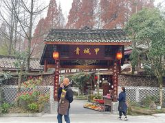 -青城甲(青城山店)