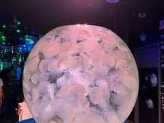 -正佳极地海洋世界