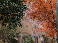 -莫干山风景区
