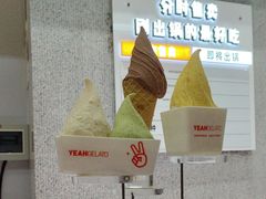 -野人先生现做冰淇淋(北京环宇荟店)