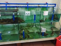 -海恋园海鲜餐馆