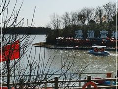 -上海海湾国家森林公园