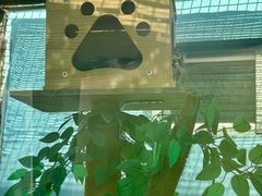 -青藏高原野生动物园