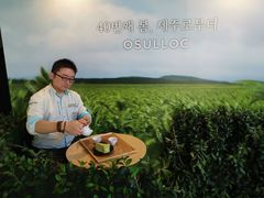 -雪绿茶博物馆