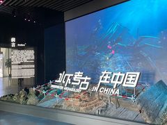 -中国港口博物馆