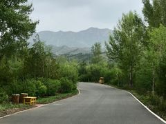 -大青山野生动物园