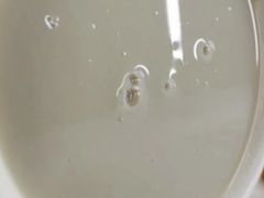 -老磁器口豆汁店(马家堡店)