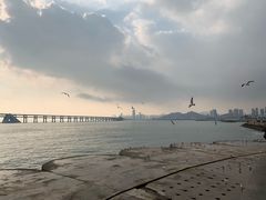 -星海湾跨海大桥