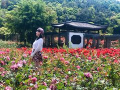 -龙寺生态园