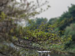 -怡海公园(桂城街道)