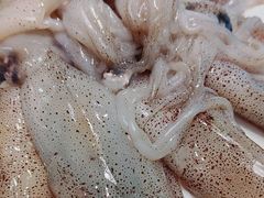 -老虎滩船说·海胆水饺·大连海鲜(老虎滩店)