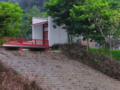 -南丹山森林王国