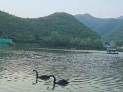 -静之湖度假区