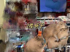 -秋叶原电器街