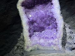 -正佳自然科学博物馆