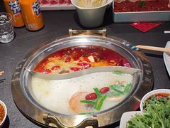-熊喵来了火锅(四平万达第56分店)