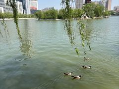 -迎泽公园