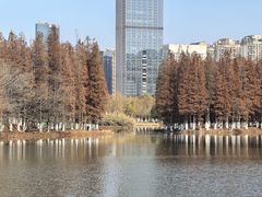 -艾溪湖湿地公园
