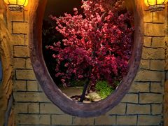 -园林美食城·本土农家菜(杨和镇店)