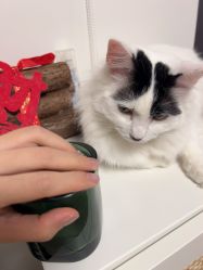 -美兮美学·日式美甲美睫