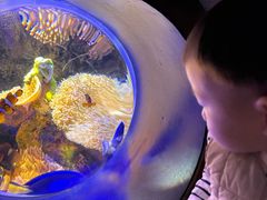 -太平洋海底世界