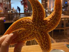 -韩京炭火烤肉自助料理(柯桥万达店)