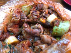 -老号尤兔头(幸福店)