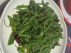 -舞辣辣·川菜·黑豆花水煮鱼(卓悦汇店)