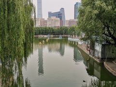 -团结湖公园