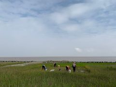 -南汇嘴观海公园