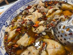 -听涛雅苑百味饺子老家菜馆