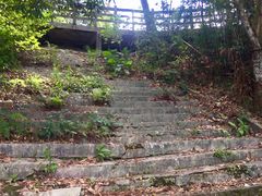 -广州市流溪河国家森林公园