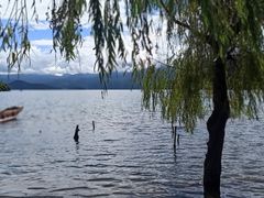 -里格村景区