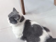 -seeu coffee(江滩店)