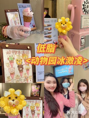 可爱动物园 低脂冰激凌