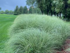 -北京京辉高尔夫俱乐部有限公司