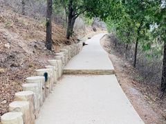 -北京西山国家森林公园