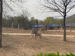 -石家庄市动物园