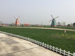-南通鲜花小镇