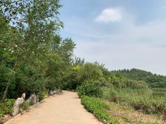 -塘沽森林公园