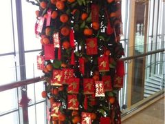 iphone_upload_pic-视界美食自助餐厅·石家庄希尔顿酒店