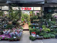 -花鸟市场(虞山北路)