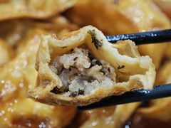 糖醋饺子-江东饺子馆(江东路店)