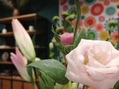 -六艺文化艺术机构