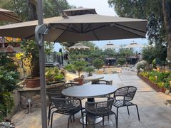 -蘇河湾·新鲁菜·泰山宴(泰山店)